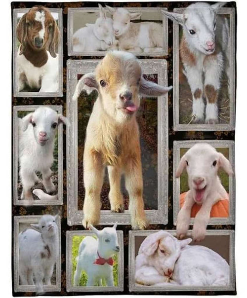 Goat Blanket, Baby Goat Freece Blanket, Goat Lover