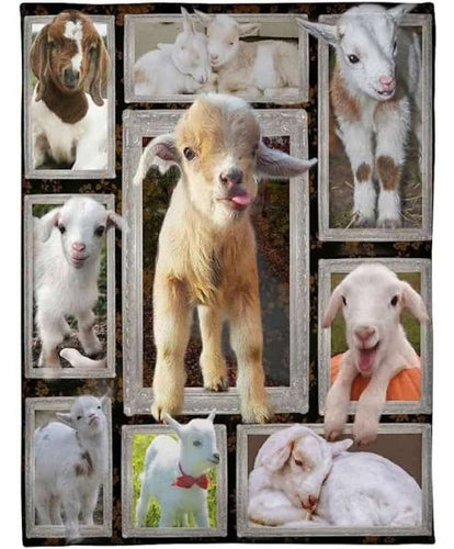 Goat Blanket, Baby Goat Freece Blanket, Goat Lover