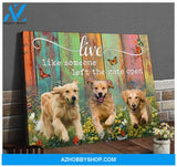 Golden Retrievers Live Like Someone Left The Gate Open Canvas Wall Art Decor