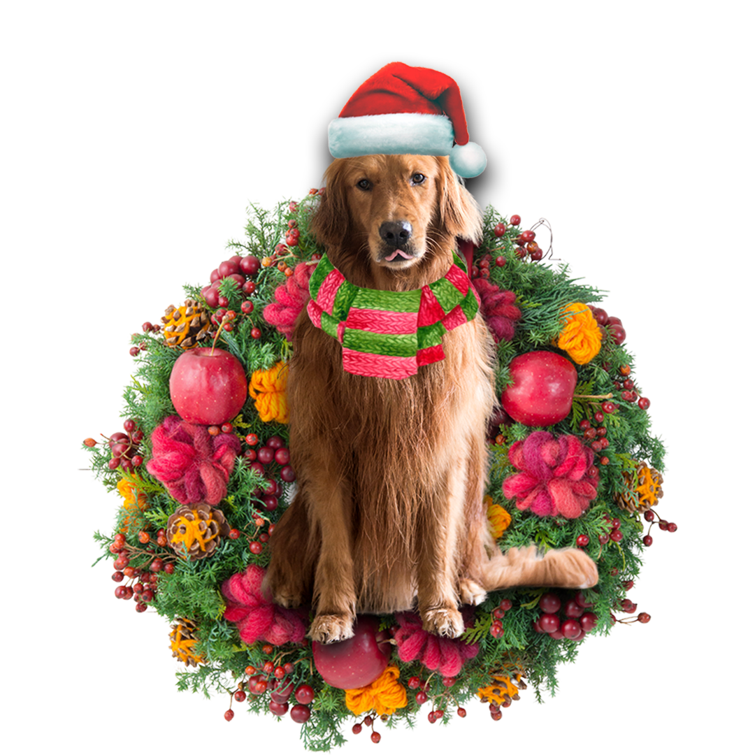 Godmerch- Ornament- Golden Retriever Christmas Ornament, Happy Christmas Ornament, Car Ornament