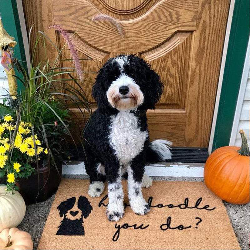 How Doodle You Do Dog Doormat, Dog Lover Gift