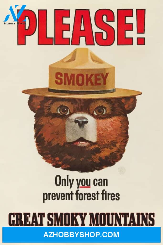 Great Smoky Mountains Tennessee Smokey Bear Vintage Poster