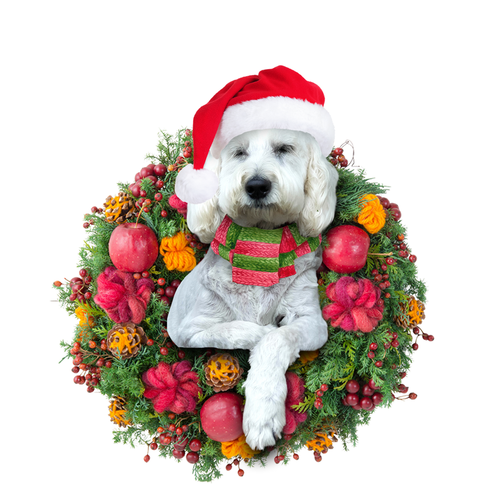 Godmerch- Ornament- Groodle Christmas Ornament, Happy Christmas Ornament, Car Ornament