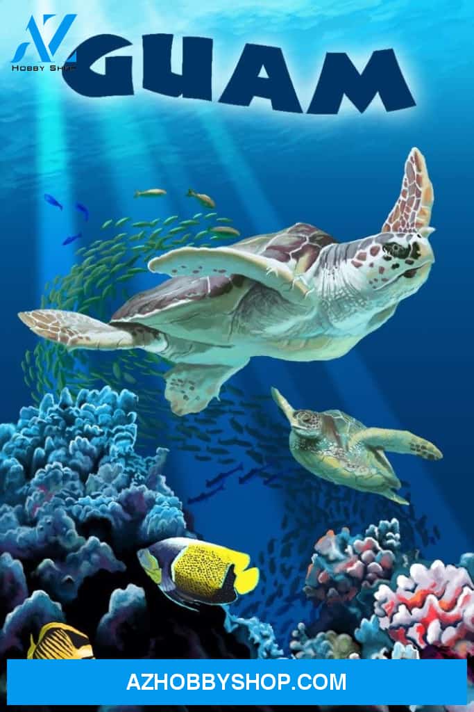 Guam Sea Turtles Swimming