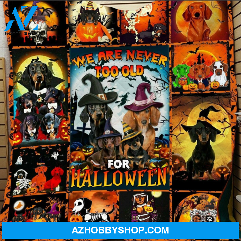 Halloween Dog Witch Blanket, We Are Never Too Old For Halloween, Gift Home Decor Bedding Couch Sofa Soft And Comfy Cozy