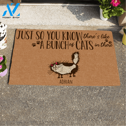 Halloween Fluffy Cat, Just So You Know There's Like A Bunch Of Cats In There Personalized Halloween Doormat HQ