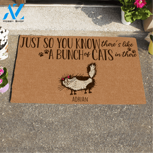 Halloween Fluffy Cat, Just So You Know There's Like A Bunch Of Cats In There Personalized Halloween Doormat HQ