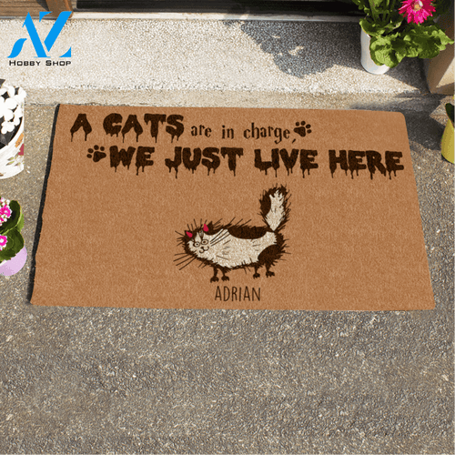 Halloween Fluffy Cat , The Cats Are In Charge We Just Live Here Personalized Doormat HQ