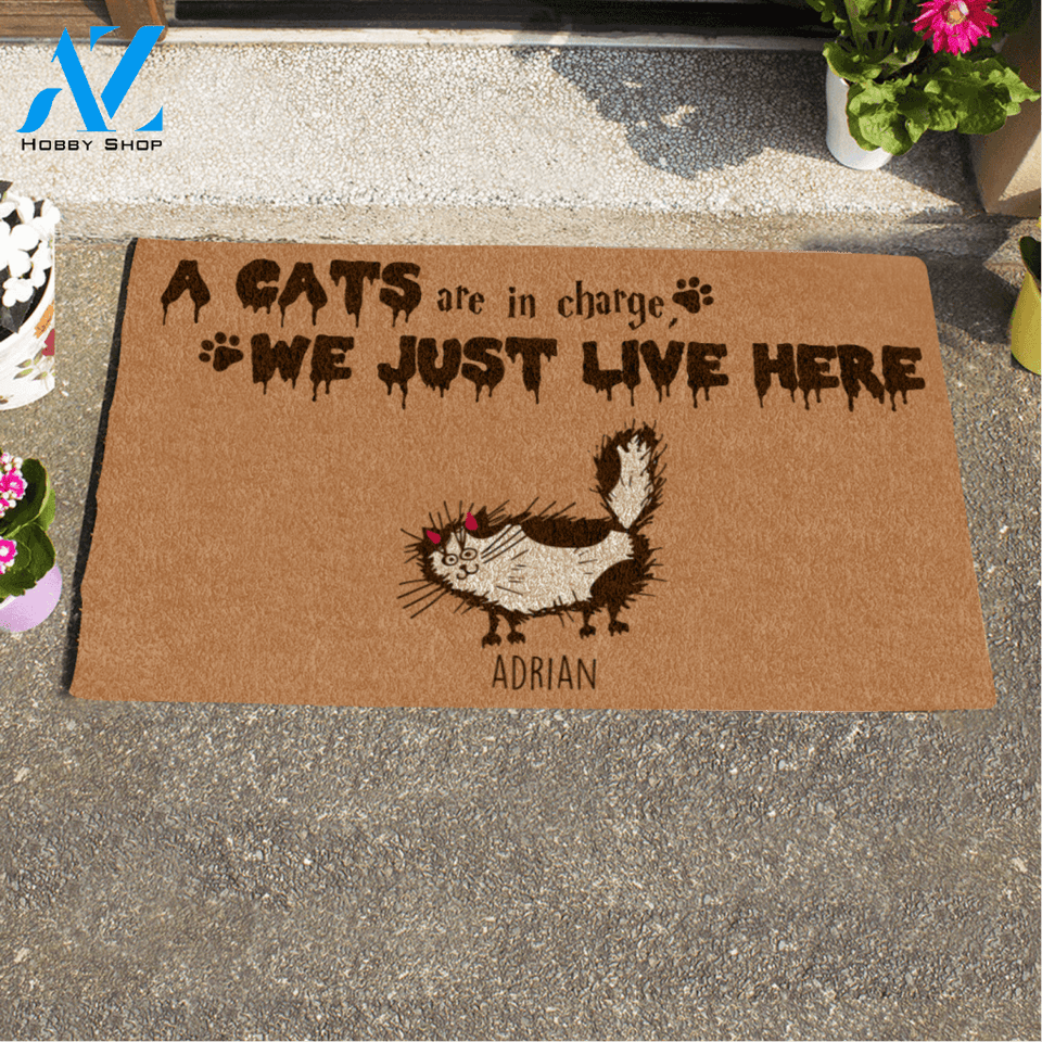 Halloween Fluffy Cat , The Cats Are In Charge We Just Live Here Personalized Doormat HQ