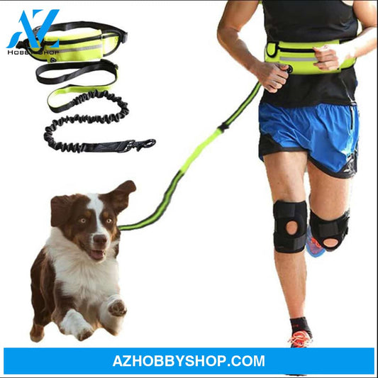Hands Free Dog Leash Pet Walking And Training Belt With Shock Absorbing Bungee For Up To 180Lbs