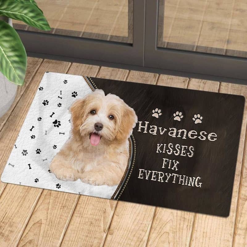 Havanese Kisses Fix Everything Doormat