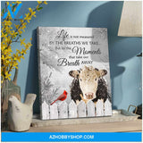 Hereford Cow and Cardinal Canvas The Moments That Take Our Breath Away Wall Art Decor