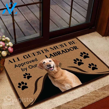 [High quality] all guests must be approved by our labrador doormat