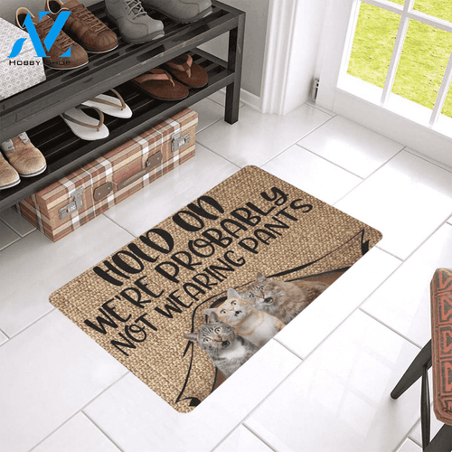 Hold On Were Probably Not Wearing Pants Cat Easy Clean Welcome DoorMat | Felt And Rubber | 40x60 cm | 45x75 cm | 60x90 cm | Colorful | DO1456