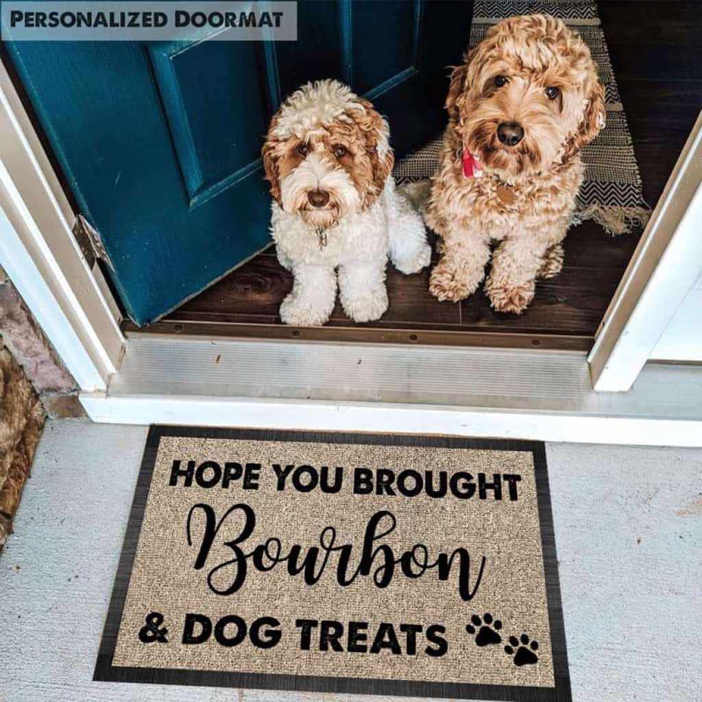 Hope You Brought Dog Treats Doormat, Dog Lover Gift