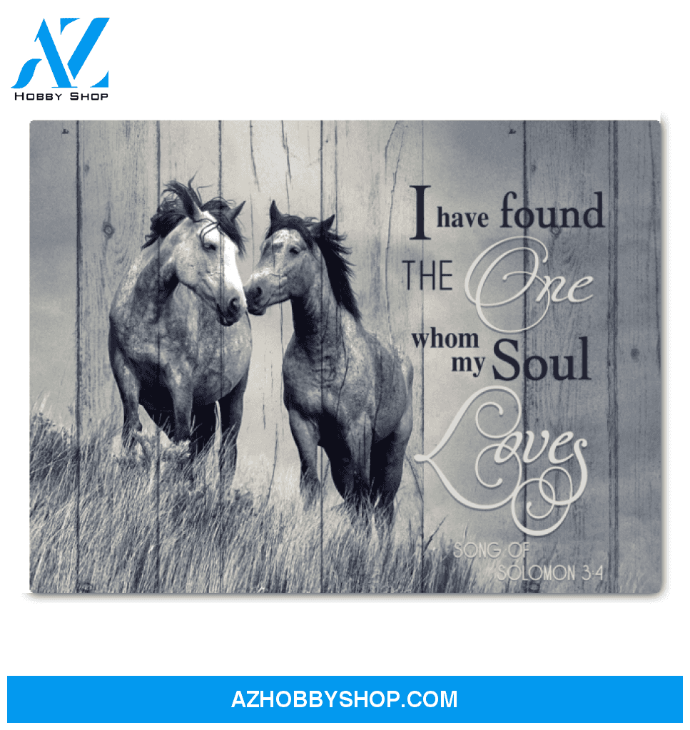 Horse I Have Found The One Whom My Soul Loves Framed Canvas Wall Art