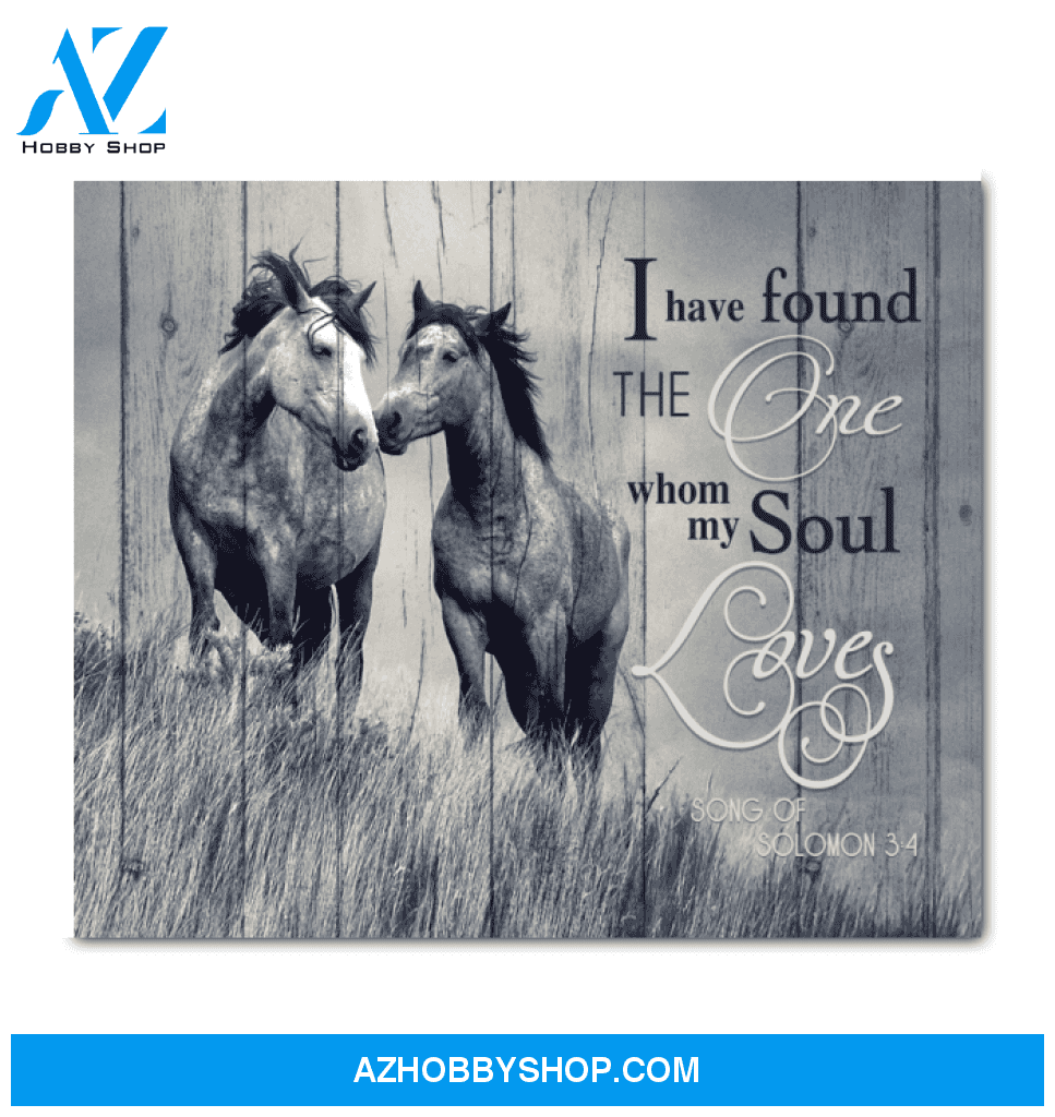 Horse I Have Found The One Whom My Soul Loves Framed Canvas Wall Art