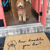 Gosszy - How Doodle You Do? (multi doodle)//Door Mat/Goldendoodle/Labradoodle/Dog Gift/Dog Decor/Hand Painted/ dog doormat/Dog Saying/I Love Dogs, dog doormat