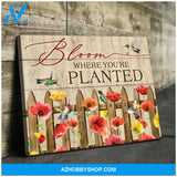 Hummingbird Bloom Canvas Wall Art