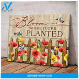 Hummingbird Bloom Canvas Wall Art