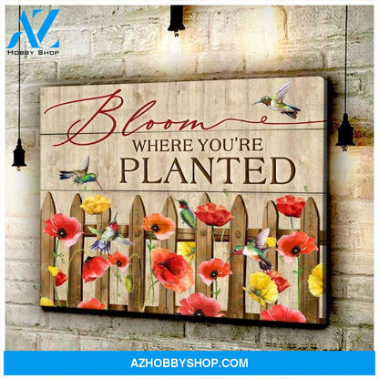 Hummingbird Bloom Canvas Wall Art