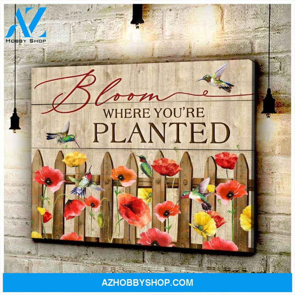 Hummingbird Bloom Canvas Wall Art