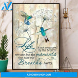 Hummingbird Life Is Not Measured By The Breaths Canvas And Poster, Wall Decor Visual Art