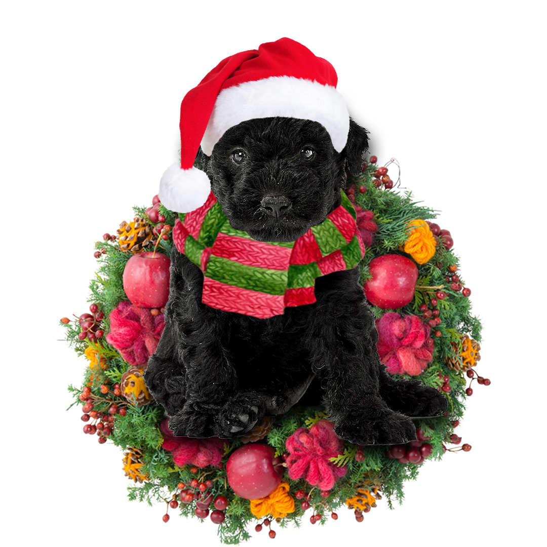 Godmerch- Ornament- Hungarian Puli Christmas Ornament, Happy Christmas Ornament, Car Ornament