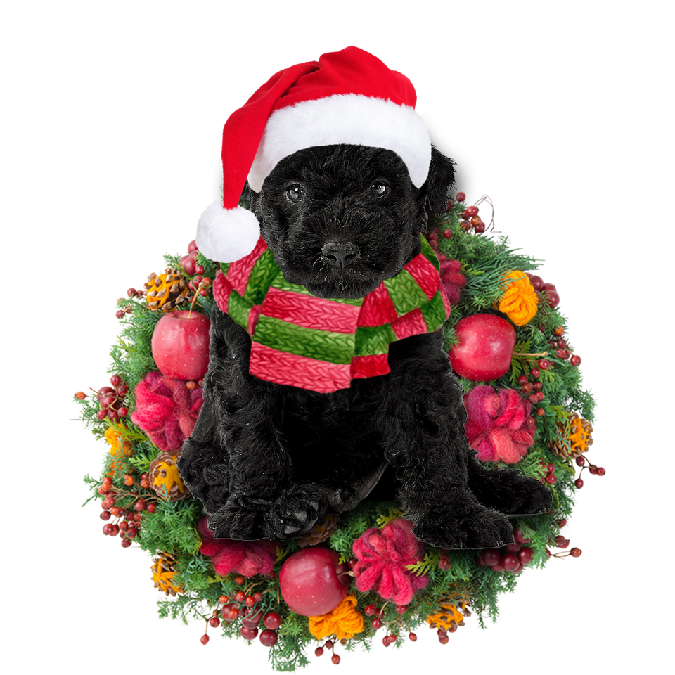 Godmerch- Ornament- Hungarian Puli Christmas Ornament, Happy Christmas Ornament, Car Ornament