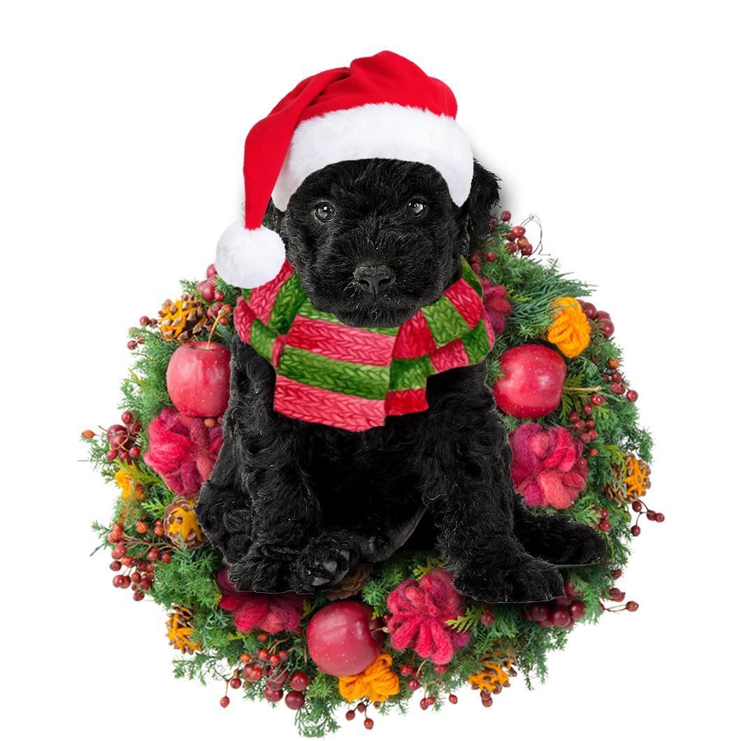 Godmerch- Ornament- Hungarian Puli Christmas Ornament, Happy Christmas Ornament, Car Ornament