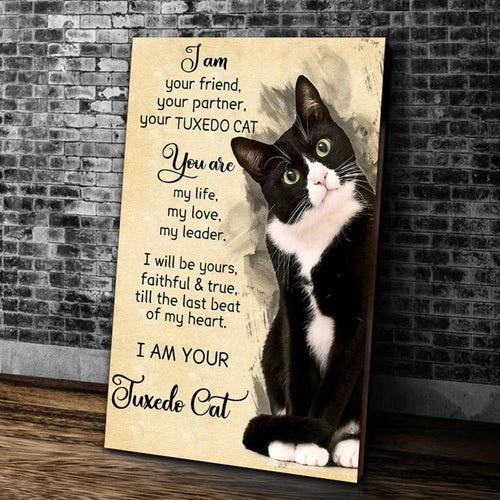 I Am Your Friend, Your Partner, Your Tuxedo Cat Canvas Wall Art