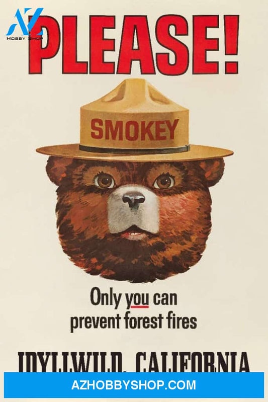 Idyllwild California - Smokey Bear - Only You Can Prevent Forest Fires - Vintage Poster