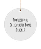 Professional Chiropractor Bone Cracker Ornament, Funny Chiropractor Keepsake, Chiropractic Assistant, Chiropractor Gift Idea