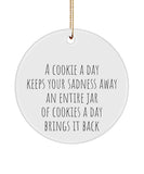 Funny Diet Ornament, Cookie Ornament, Dietician Ornament, Nutritionist, Cookie A Day Funny Ornament, Dietician Gift, Nutritionist Gift