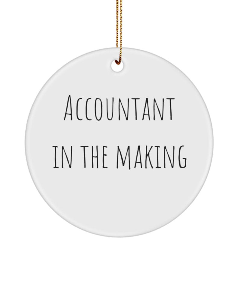 Accountant Gift, Accountant Ornament,  Cpa Gift, Accountant In The Making Ornament, Accountant Appreciation, Cpa Gift, For Him, For Her
