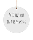 Accountant Gift, Accountant Ornament,  Cpa Gift, Accountant In The Making Ornament, Accountant Appreciation, Cpa Gift, For Him, For Her