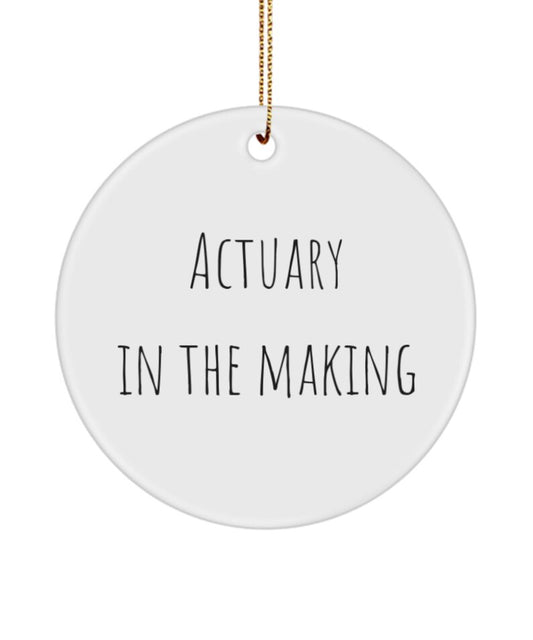 Actuary Gift, Actuary Ornament, Actuary In The Making, Co-Worker, Student, Mentee, Life Insurance Professional, Funny Actuary Ornament