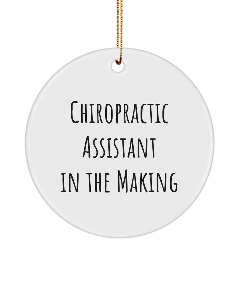 Chiropractor Assistant In The Making Ornament, Future Chiropractic Assistant, Gift Ideas For Student Chiropractic Assistant