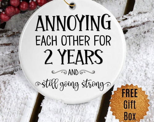 2Nd Anniversary Ornament For Couples Celebrating 2 Years Second Anniversary Gift Ideas Annoying Each Other For Two Years Christmas Keepsake