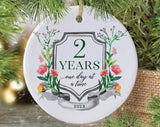 Sobriety Anniversary Gift Two Years Sober One Day At A Time Sober Recovery Christmas Ornament 2 Years Of Sobriety Clean And Sober Gift