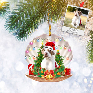 Custom Pet Dog Cat Sleeping Seashell Flat 2D Ornament Personalized Photo, Christmas Tree Ornament, Home Decor