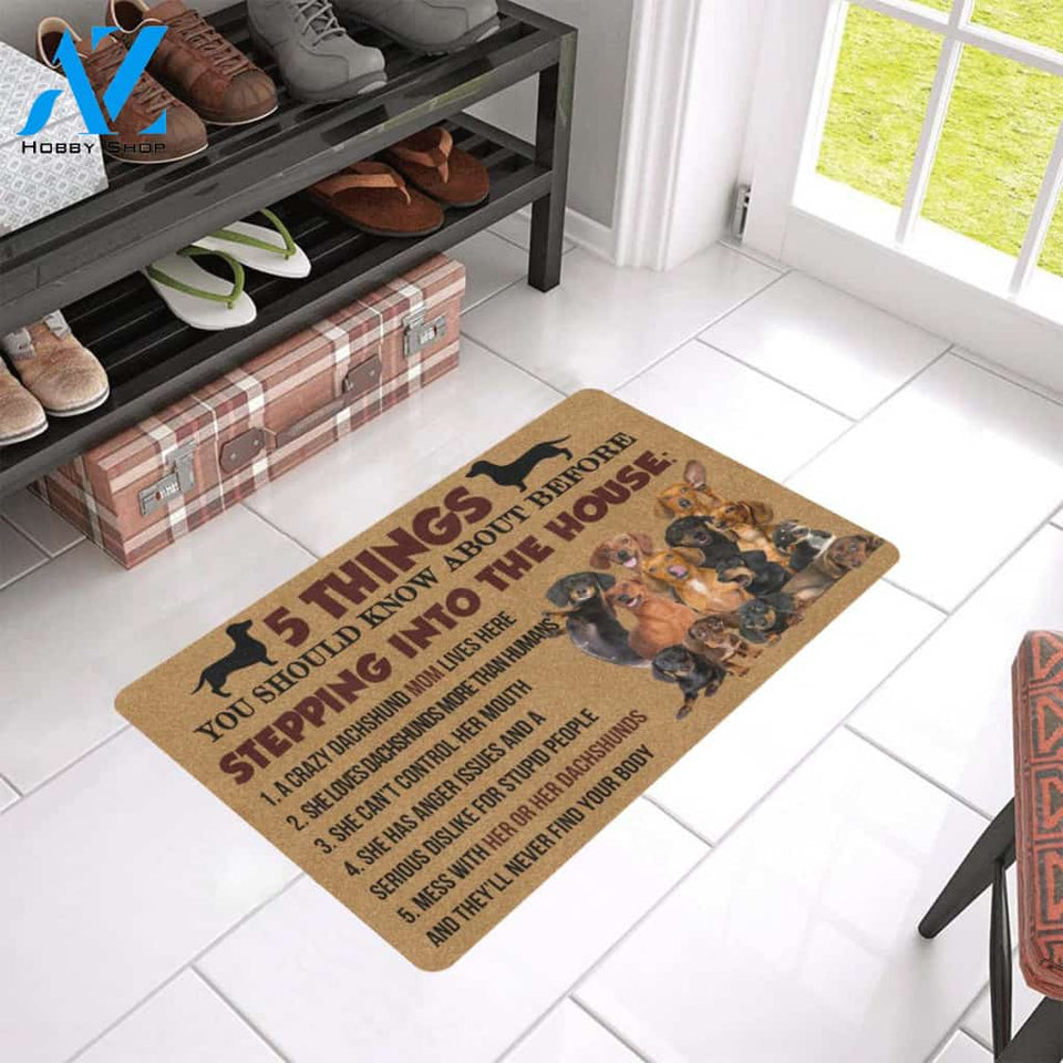 In Dachshund Five Things Doormat Indoor And Outdoor Mat Entrance Rug Sweet Home Decor Housewarming Gift Gift For Friend Family Stem Feminist