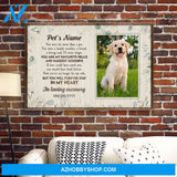 In Loving Memory Poster Dog Cat You Are My Favourite Hello And Hardest Goodbye, Dog, Cat Custom Poster/Canvas, Gift For Dog Lovers, Cat Lovers