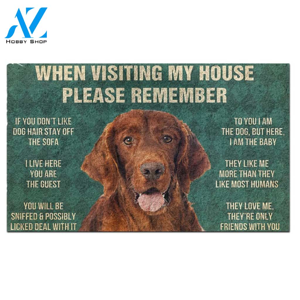Irish Setter's Rules Doormat