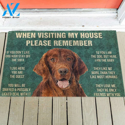 Irish Setter's Rules Doormat