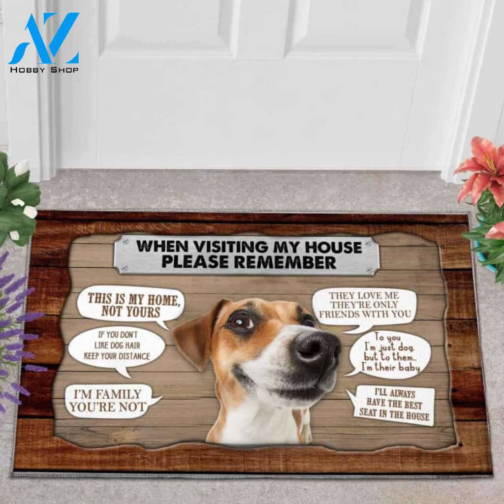 Jack Russell Terrier 1 Visiting My House Doormat