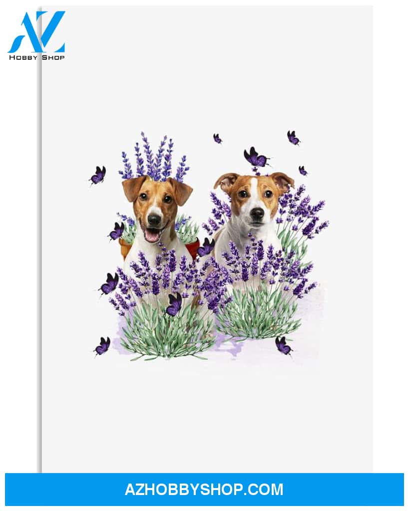 Jack Russell Terrier with lavender flower poster