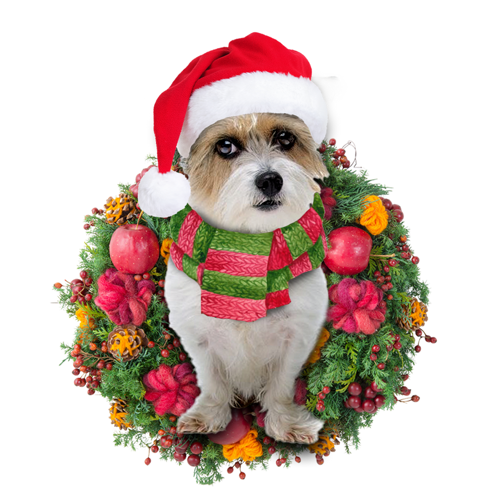 Godmerch- Ornament- Jackapoo Christmas Ornament, Happy Christmas Ornament, Car Ornament