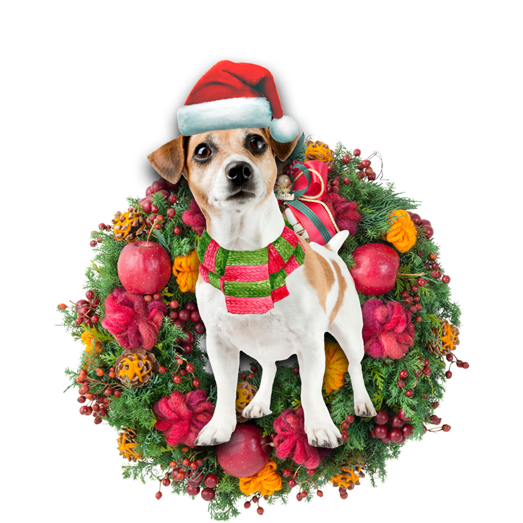 Godmerch- Ornament- Jack Russell Terrier Christmas Ornament, Happy Christmas Ornament, Car Ornament