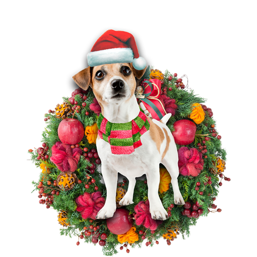 Godmerch- Ornament- Jack Russell Terrier Christmas Ornament, Happy Christmas Ornament, Car Ornament